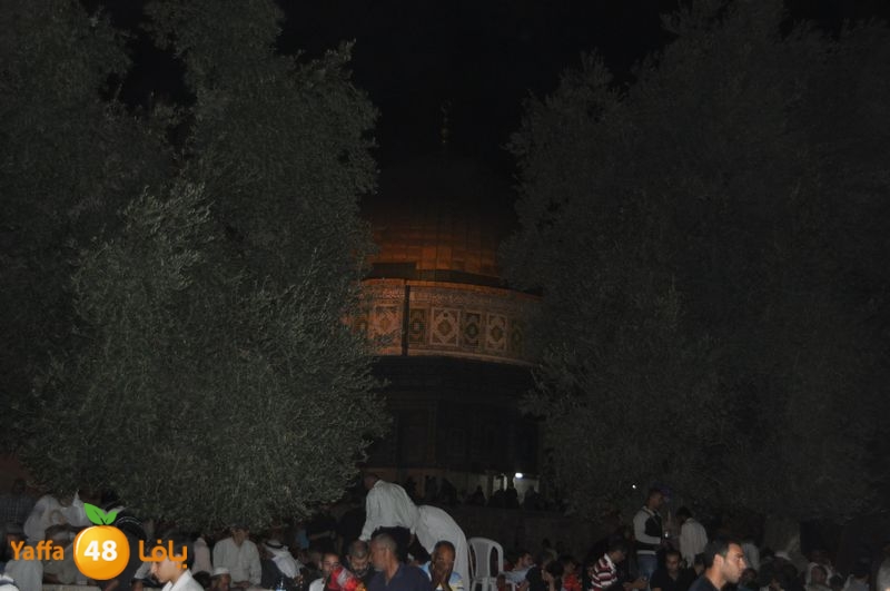 lud trawer7 aqsa 805 (12).JPG